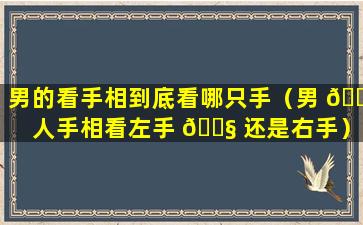男的看手相到底看哪只手（男 🐟 人手相看左手 🐧 还是右手）